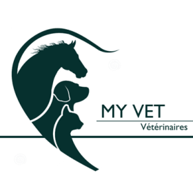 MyVetLogo.png MyVetLogo.png
