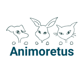 Animoretus.png
