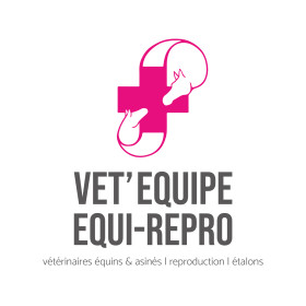 Logo VET EQUIPE - Format vertical fond blanc.jpg